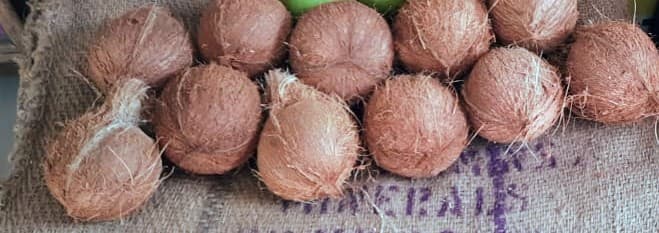 Kobbari Kayalu - Coconut